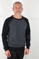 Preview: Herren Sweatshirt "Floh" in Grau mit schwarzen Ärmeln Ansicht seitlich von vorne