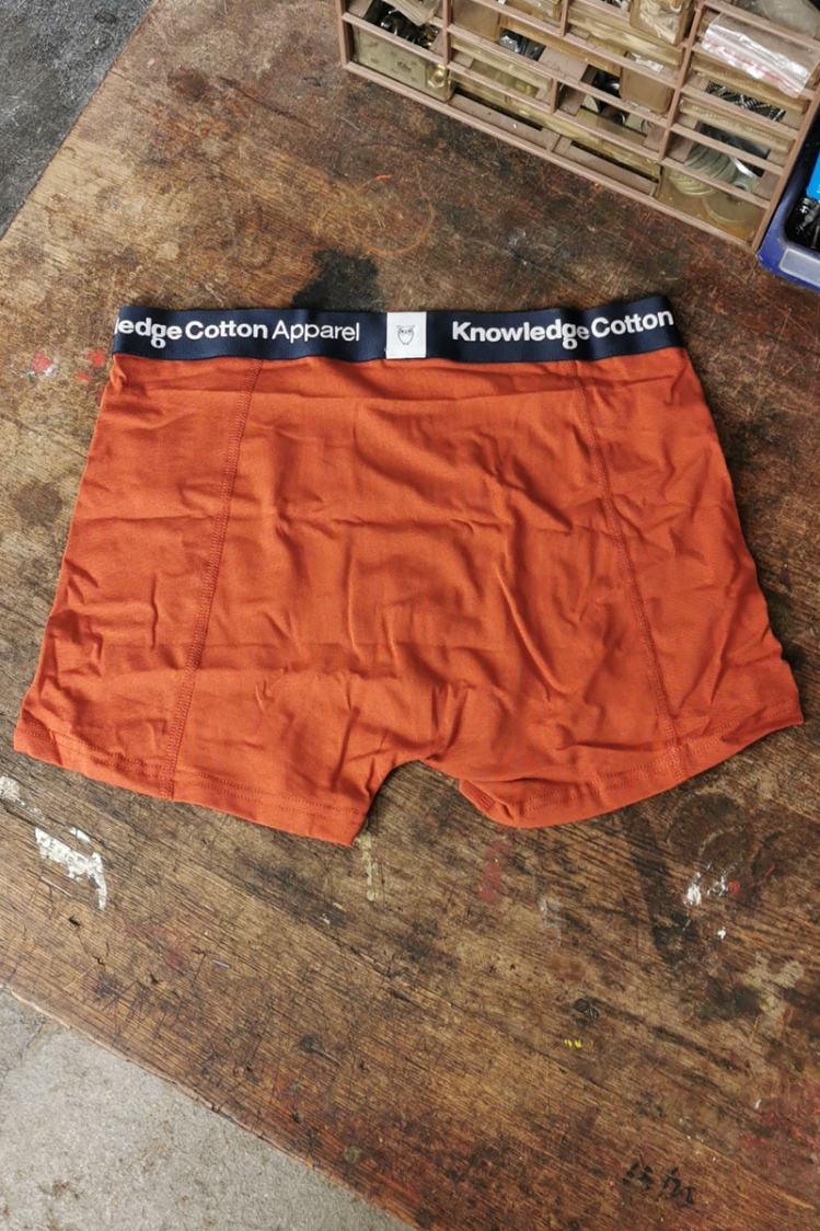 Unterwäsche von KnowledgeCotten Apparel 2er Pack in Farbe terra -orange