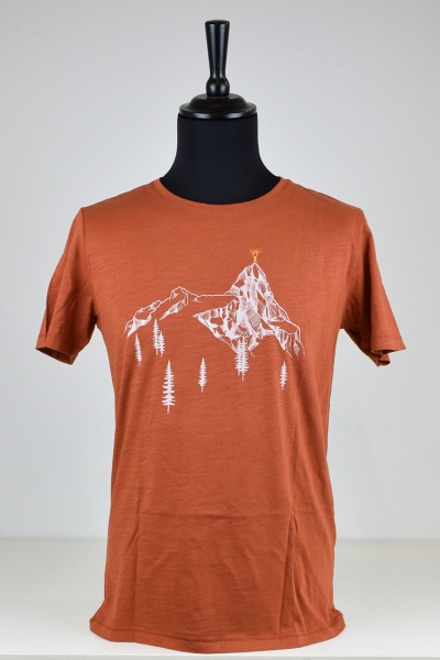 Greenbomb T-Shirt "Bike Destination" Bio in clay red von vorne