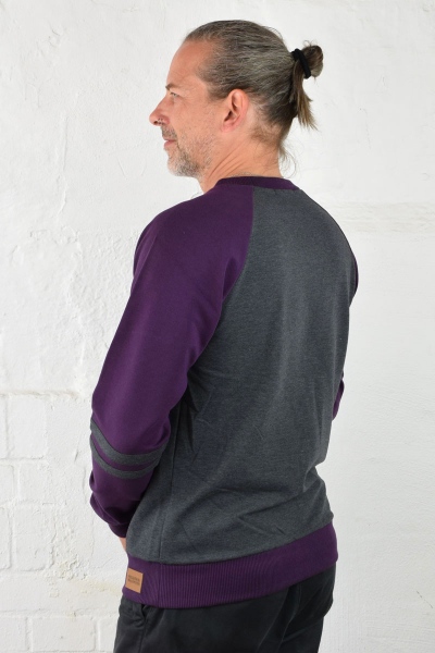 Herren Sweatshirt "Floh" Grau mit Lila Ärmeln Ansicht von hinten
